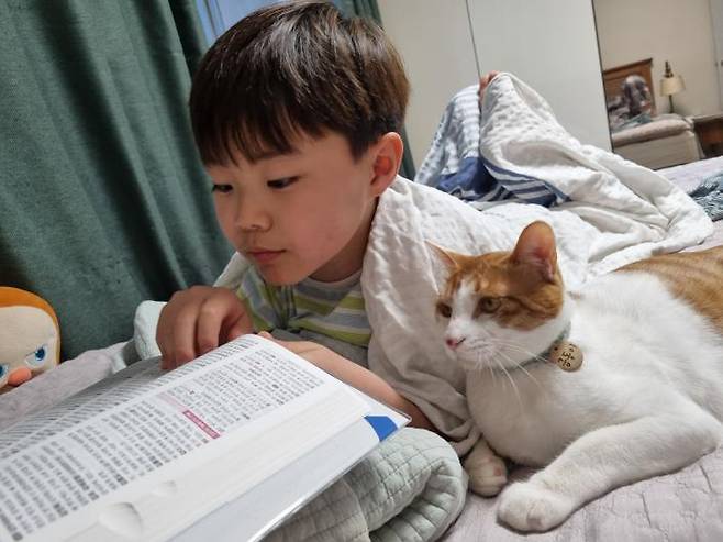 '책도 함께 보는 사이다냥~' (인스타그램 Hana Ryu 제공) ⓒ 뉴스1