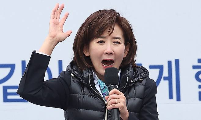 국민의힘 나경원 의원이 15일 경북 구미시 구미역 앞에서 열린 세이브코리아 주최 윤석열 대통령 탄핵 반대 집회인 국가비상기도회에서 발언하고 있다. 구미=연합뉴스