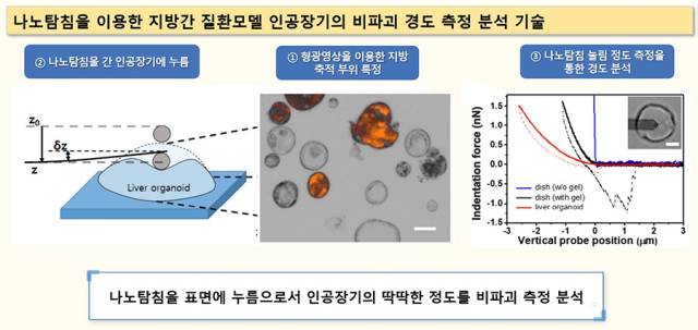 나노 탐침을 이용한 인공장기 경도 측정 기술. 사진 제공=한국화학연구원