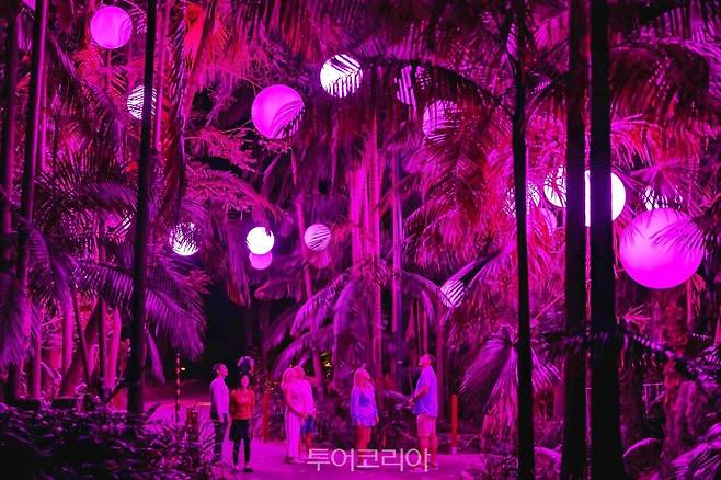 아스트라 루미나 골드코스트 (Astra Lumina Gold Coast)/사진-퀸즐랜드주 관광청