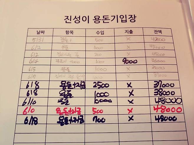 처음에는 용돈을 현금으로 지급해 돈의 흐름을 직접 느낄 수 있도록 유도하는 게 좋다. 용돈기입장이나 관련 앱을 이용해 용돈 사용 기록 습관을 들이는 것도 좋다. 용돈기입장 작성 예시. 성유미 작가 제공