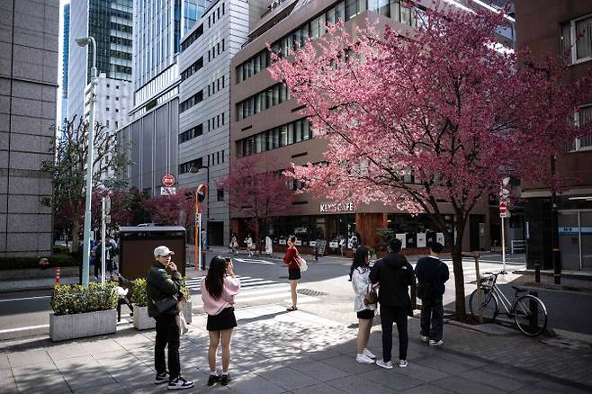 벚꽃 핀 일본 도쿄 거리(사진=AFP)