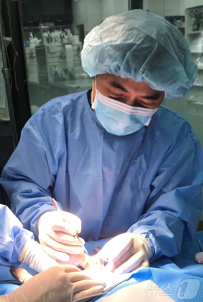 반려동물 수술을 하고 있는 최이돈 한국동물병원협회 회장(VIP동물의료센터 제공) ⓒ 뉴스1
