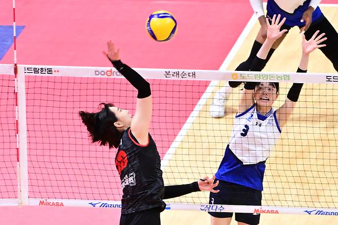 제공 | 한국배구연맹