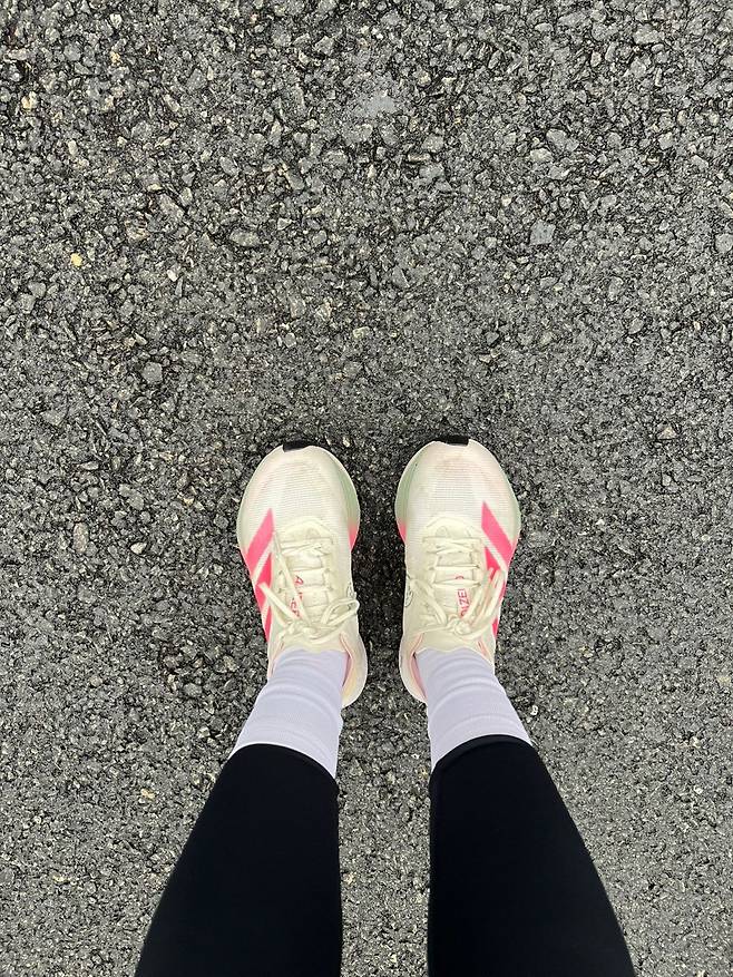 아디다스 서울 마라톤 에디션으로 나온 아디제로 보스턴 12