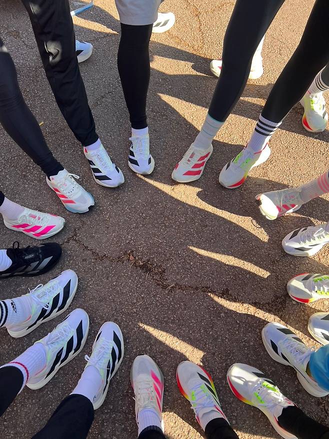 에디터 직접 촬영