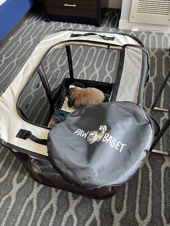 7ee58800c1836cf723e98190349c701cd86c9b076b994f9011432ac12727935a4fe84afe5998d40b9b375742bdbcf725151f7988