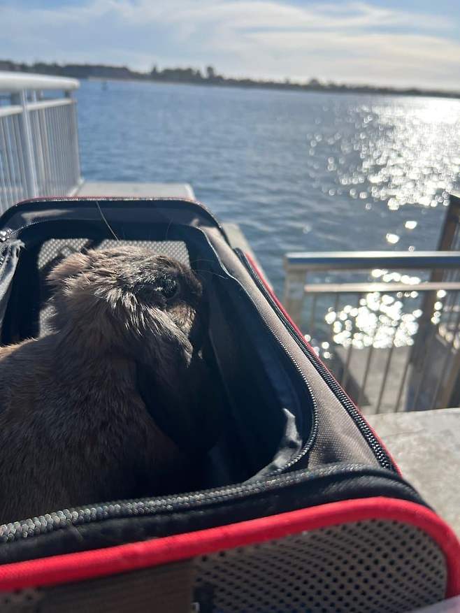 08eaf173b6f719fe239a8691379c706bb83c7f576609bf9b82faccb23761a8691d7c3340bd1d4664dd49958e63adb84f86290e6d