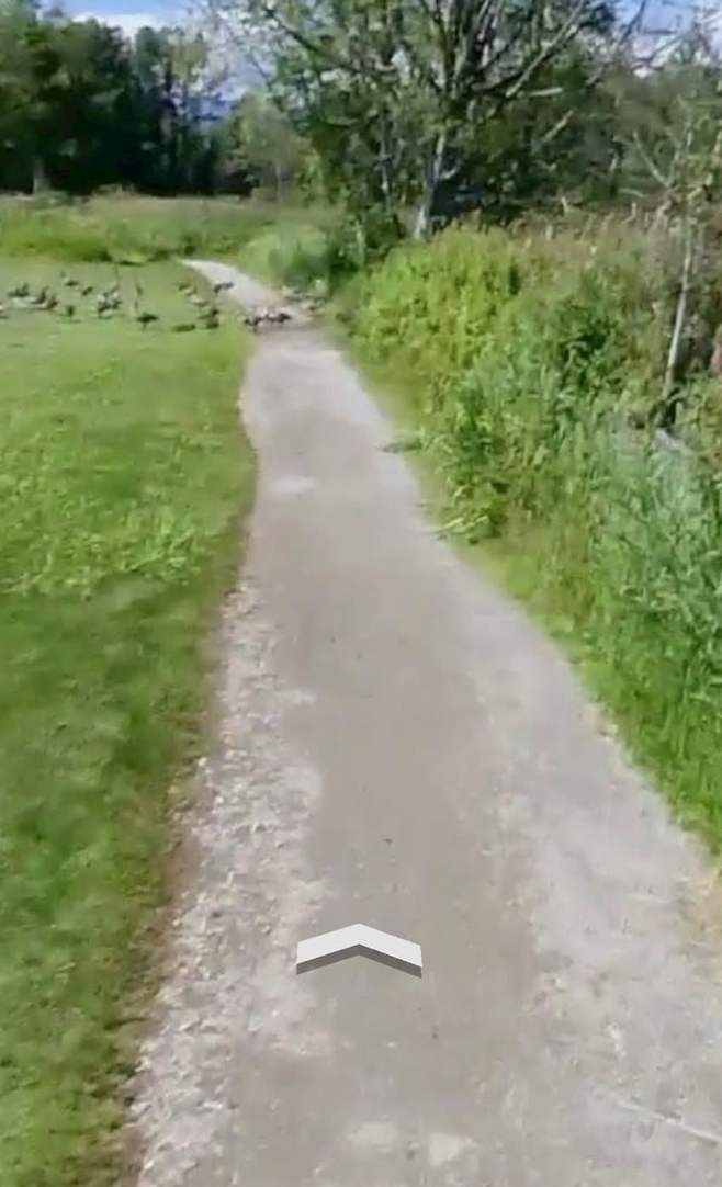 7cef8971b3f76bff239e87ed4f9c7018b6c3660ac7a8883cf676d3f235640192593cdda876e32e640305754f057bdc27bd33385463