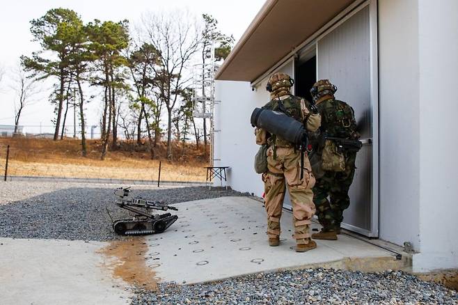 제17보병사단은 2025년 FS/TIGER의 일환으로 지난 16일부터 인천 일대 및 경기도 파주 무건리훈련장에서 '한미연합 전투지휘훈련'을 실시하고 있다고 19일 밝혔다. 17사단은 전군 유일 사단급 한미연합 전투지휘훈련을 실시하는 부대이다. 이번 훈련에는 한미 양국군 장병 1200여 명이 참가하였으며, 전투지휘훈련과 야외기동훈련(CWMD 및 공중기동)을 연계하여 실시해 훈련의 실전성을 높였다. 사진은 CWMD-TF 장병들이 의심시설 내부로 진입하기에 앞서 화생방정찰로봇을 투입하는 모습. 사진=육군 제공