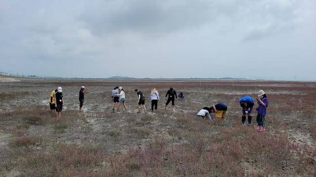 흰발농게 답압 실험이 진행된 인천 영종제2지구에서 갯벌체험활동을 하고 있다. 인하대 제공