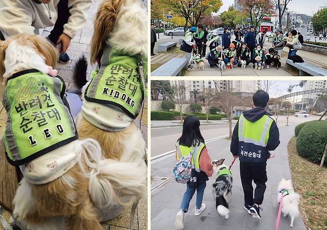 지난해 '댕댕이 안전지킴이'로  선발된 반려견과 견주들의 활동 모습. 제주도 제공