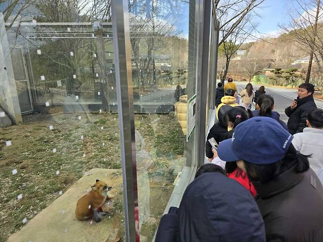 광주 우치동물원에 사람들이 모여 있다.[헤럴드DB]