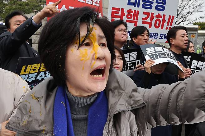 백혜련 더불어민주당 의원이 20일 오전 서울 종로구 헌법재판소 앞에서 개최한 윤석열 대통령 신속 파면 촉구 기자회견에서 계란을 얼굴에 맞은 후 윤석열 지지자들에게 항의하고 있다. /뉴스1