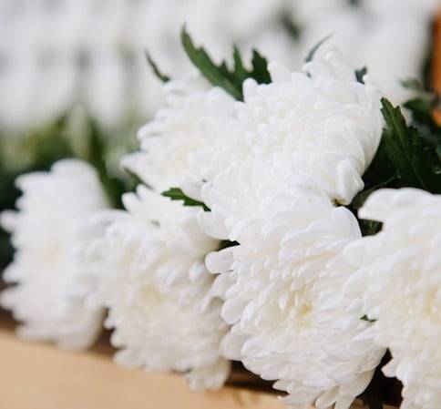 사진=게티이미지뱅크