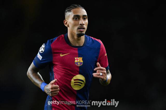 하피냐/게티이미지코리아