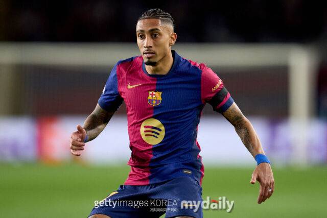 하피냐/게티이미지코리아