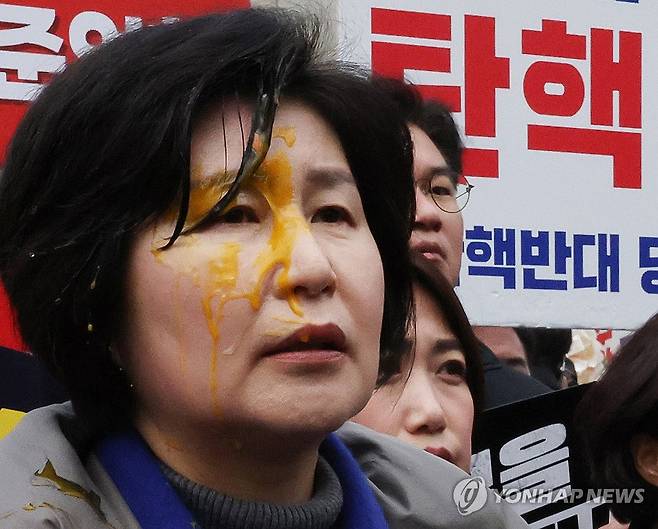 野의원들, 헌재앞 尹파면 촉구 회견하다 '계란 투척'에 봉변