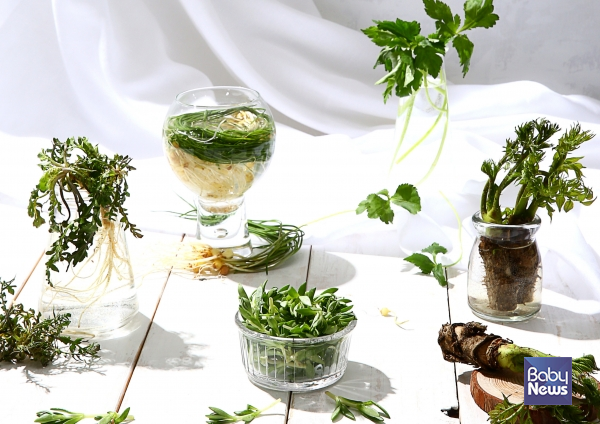 세종키친 뷔페. ⓒ코트야드 바이 메리어트 세종 호텔