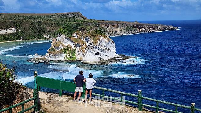 한 폭의 수채화처럼 신비로운 경관을 자랑하는 새섬 . 새들이 자유롭게 날아와 쉬어가는 천혜의 보금자리다.