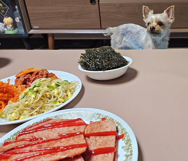 20250320_210110.jpg 아들 연습경기 후 리챔 구이