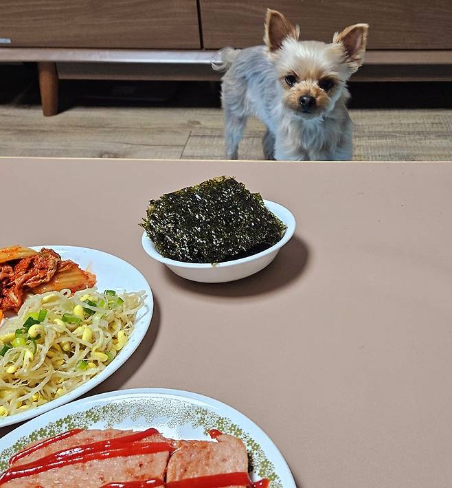 20250320_210112.jpg 아들 연습경기 후 리챔 구이