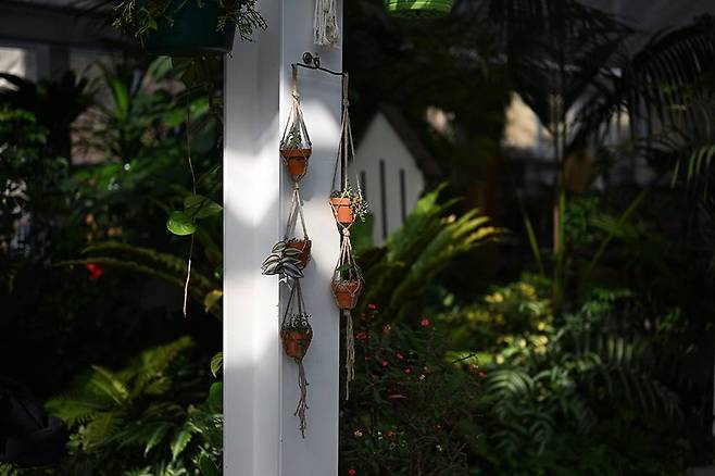 니코르 Z 50mm f/1.8 S로 f/1.8, 1/2500초, ISO 100 설정 촬영 / 출처=IT동아