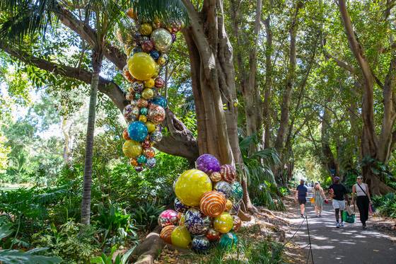 호주 남부 애들레이드는 녹지 비율이 30%에 달하는 공원의 도시다. 영국식 정원과 열대 식물이 조화를 이룬 애들레이드 식물원이 특히 근사하다. 식물원은 오는 4월 29일까지 미국 유리공예가 ‘데일 치훌리’의 작품 15점을 전시한다. 최승표 기자