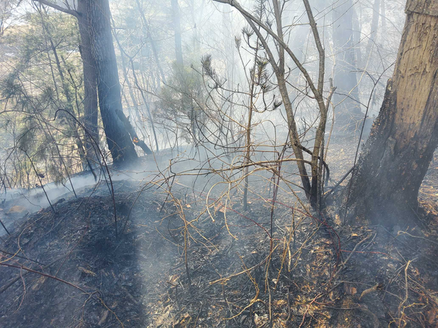 ▲ 21일 오후 2시 32분쯤 강원 평창군 용평면 백옥포리에서 산불이 발생해 약 1시간 만에 진화됐다. 강원특별자치도 소방본부 제공