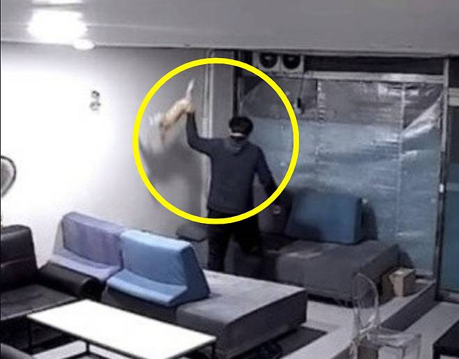 생후 6개월된 새끼 고양이를 바닥에 집어 던지는 등 무차별 학대한 30대 남성이 징역 4개월을 선고 받았다/사진=부산동물사랑길고양이보호연대 제공