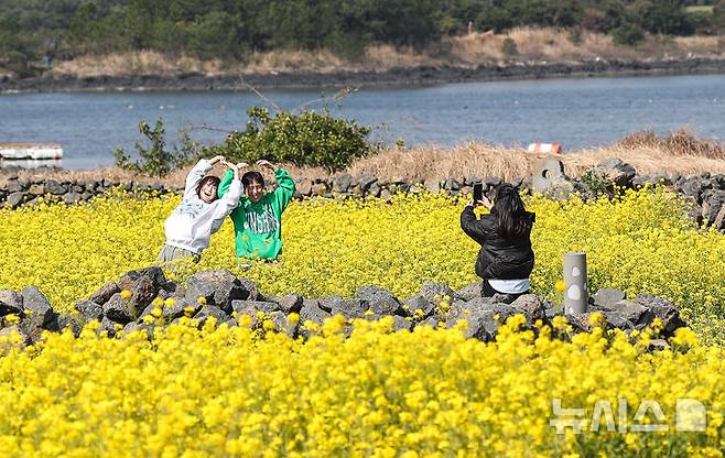 [서귀포=뉴시스] 우장호 기자 = 완연한 봄날씨를 보인 21일 오전 제주 서귀포시 성산읍 성산일출봉 광치기해변 인근에 조성된 유채꽃밭에 상춘객이 찾아와 즐거운 시간을 보내고 있다.기상청에 따르면 꽃샘추위가 물러간 제주 지역은 당분간 낮 기온이 21도 내외로 오르며 포근한 날씨를 나타낼 것으로 전망된다. 2025.03.21. woo1223@newsis.com