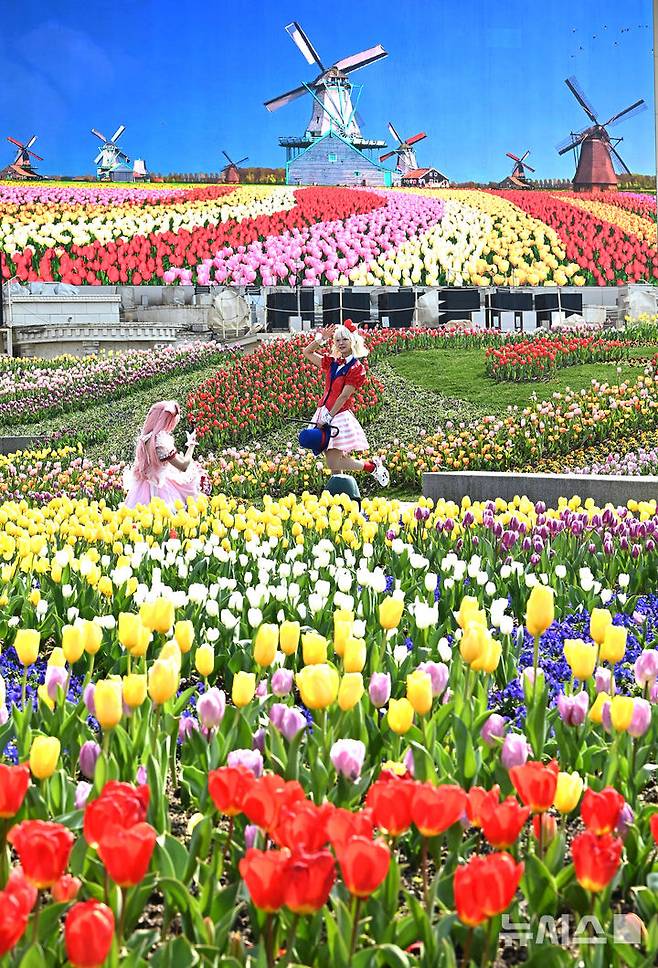 [용인=뉴시스] 김종택 기자 = 에버랜드 튤립축제가 시작된 21일 경기도 용인시 에버랜드 포시즌스 가든을 찾은 시민들이 활짝 핀 튤립을 배경으로 기념촬영을 하고 있다. 2025.03.21. jtk@newsis.com