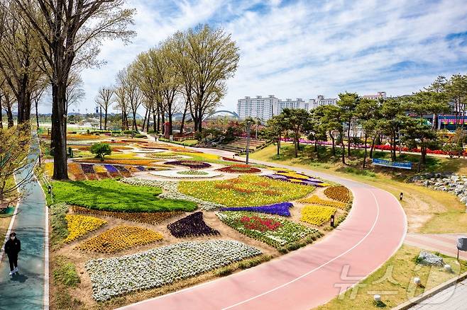 증평 보강천변 전경/뉴스1