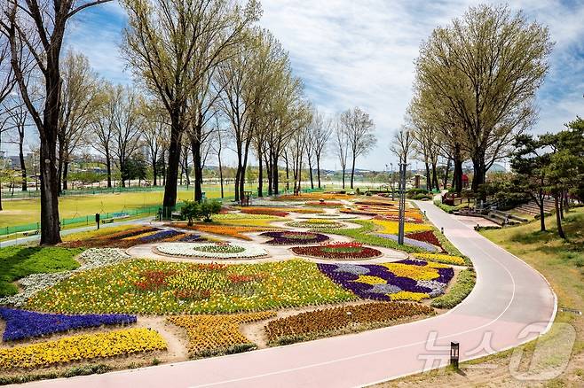 증평 보강천변 전경/뉴스1