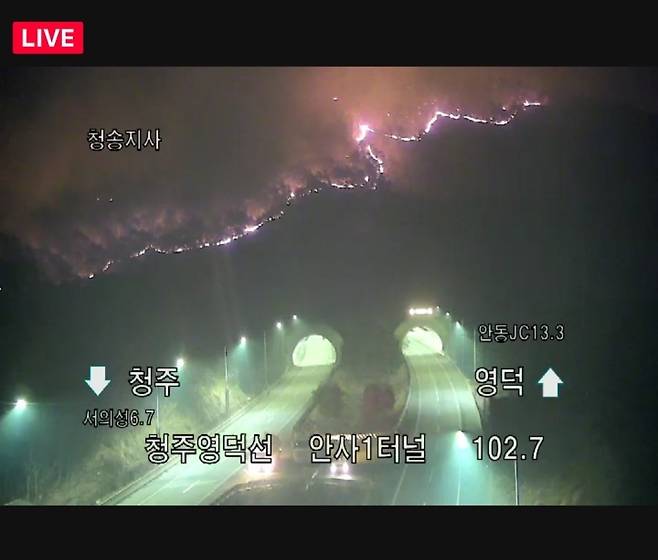 오늘 일어난 산불들 현재까지 밝혀진 원인 정리