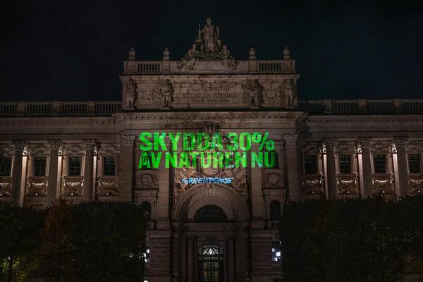 ▲스톡홀름에서 열린 UN 생물다양성 COP16을 앞두고 그린피스가 벌인 홀로그램 액션. 사람과 지구를 위해 생물다양성을 회복시키자는 메시지를 담았다. 사진=그린피스