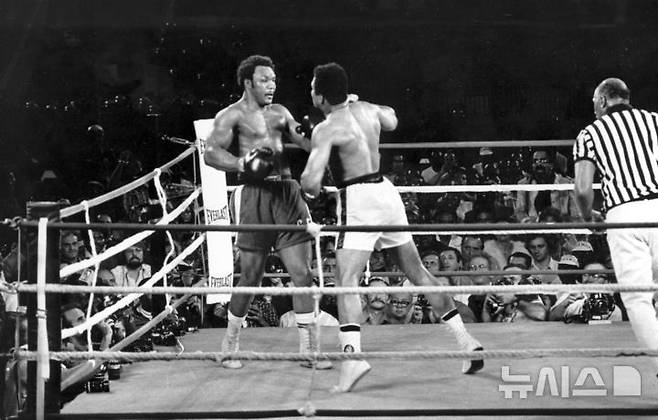 [킨샤사=AP/뉴시스] 조지 포먼과 무함마드 알리는 1974년 '정글의 대소동'으로 불리는 세기의 대결을 펼쳤다. 1974.10.30