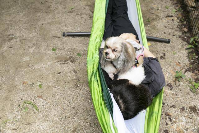 반려인과 반려동물이 함께 해먹체험을 하고 있다. 한국산림복지진흥원