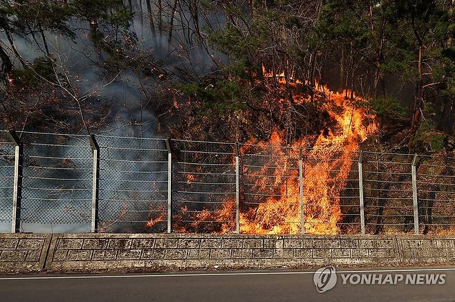 산청 산불 [촬영 김동민]