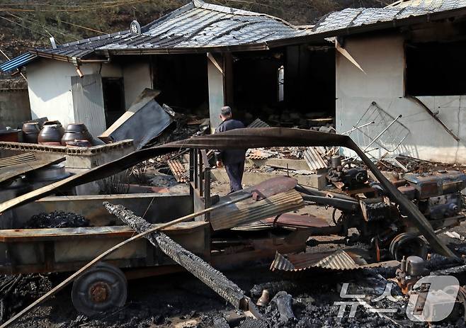 경남 산청 대형 산불이 사흘째로 접어든 23일 오후 산청군 시천면 중태마을에서 아들이 불에 탄 어머니 집을 바라보고 있다. 2025.3.23/뉴스1 ⓒ News1 윤일지 기자