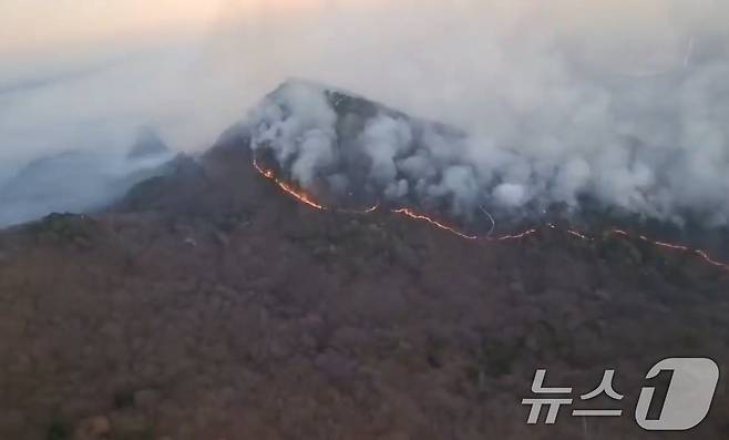 울산 울주 온산읍 운화리 산불이 이틀째에 접어든 23일 울주군의 한 야산에서 불길이 일고 있다. 이날 오전 9시 기준 진화율은 65%다. (울산소방본부 제공. 재판매 및 DB금지)