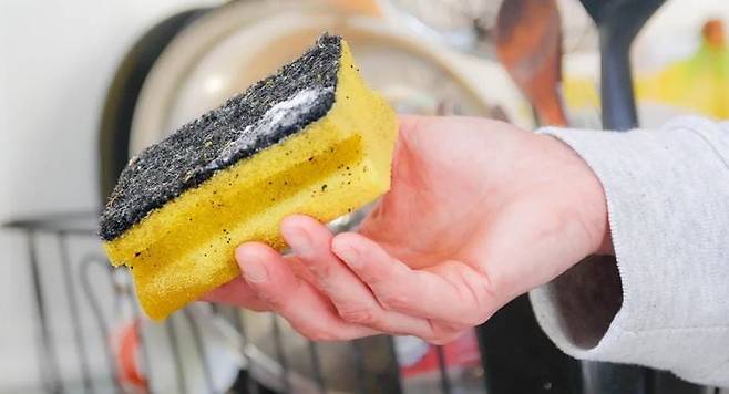스펀지 수세미./뉴시스