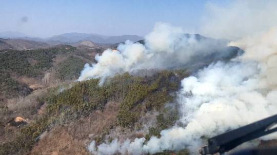 충북 옥천군 청성면 산불. 산림청 제공
