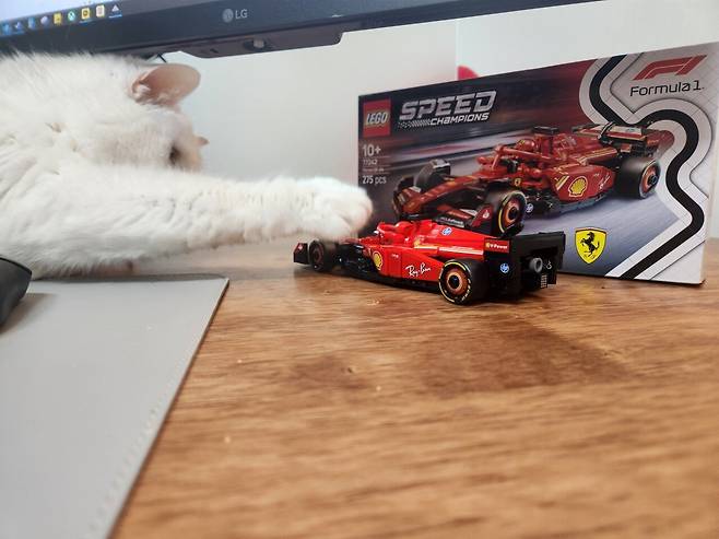 20250323_004556.jpg 하얀색과 빨간색의 만남