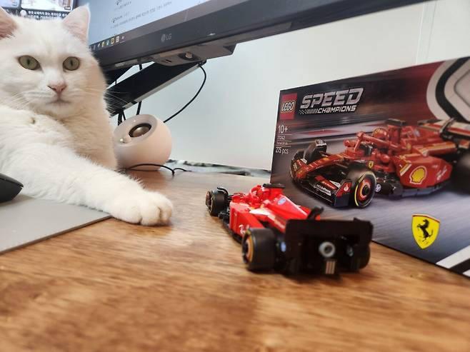 20250323_004617.jpg 하얀색과 빨간색의 만남