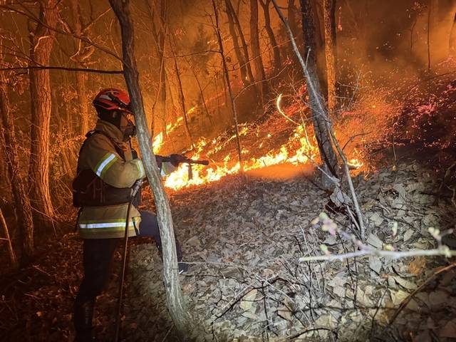 ▲ 산림청 중앙사고수습본부가 지난 22일 경상북도 의성군에서 발생한 산불을 진화하기 위해 헬기를 비롯해 인력, 진화차량를 투입해 불길을 잡고 있다고 23일 밝혔다. 사진은 소방대원이 진화작업을 펼치는 모습. 연합뉴스