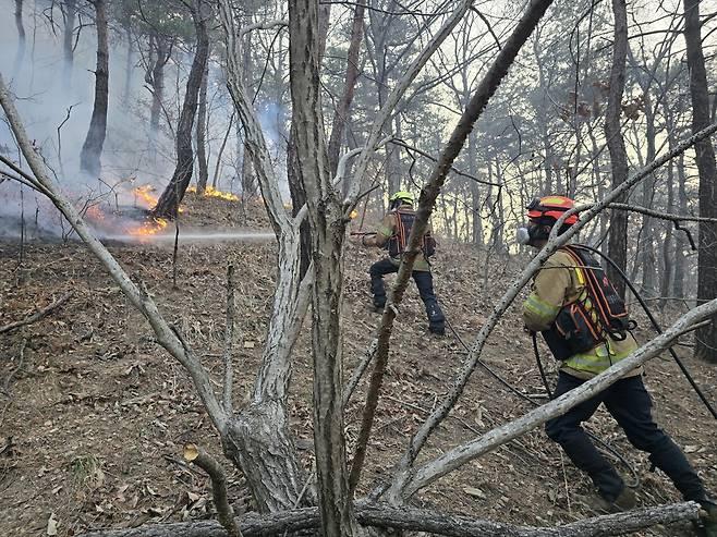 산불 진화대원들이 경북 의성군 안평면 산불현장에서 진화작업을 벌이고 있다. 경북도소방본부 제공