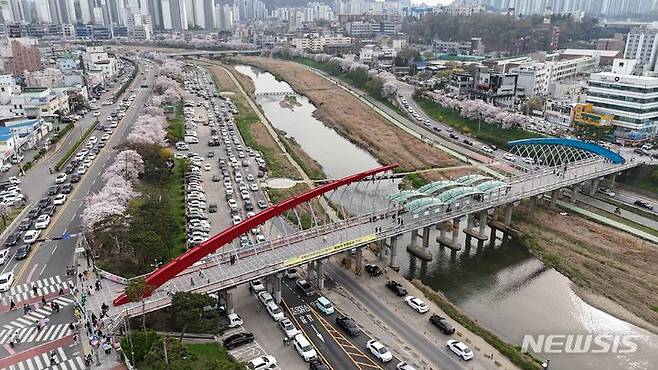 [청주=뉴시스] 청주 무심천 전경. (사진=뉴시스 DB) photo@newsis.com