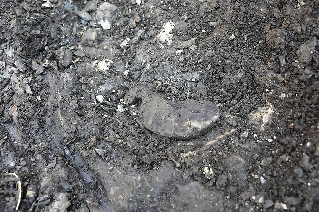 김해 봉황동 유적 발굴현장에서 새 모양 목기가 막 출토된 모습. 국립가야문화유산연구소 제공