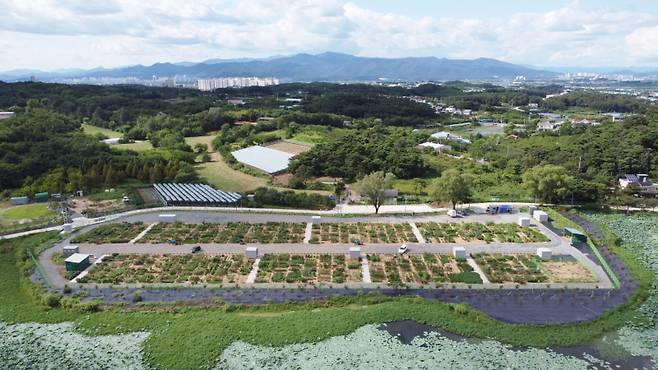 24일 개장하는 경산 신천동 도시농업 공영농장. 경산시청 제공